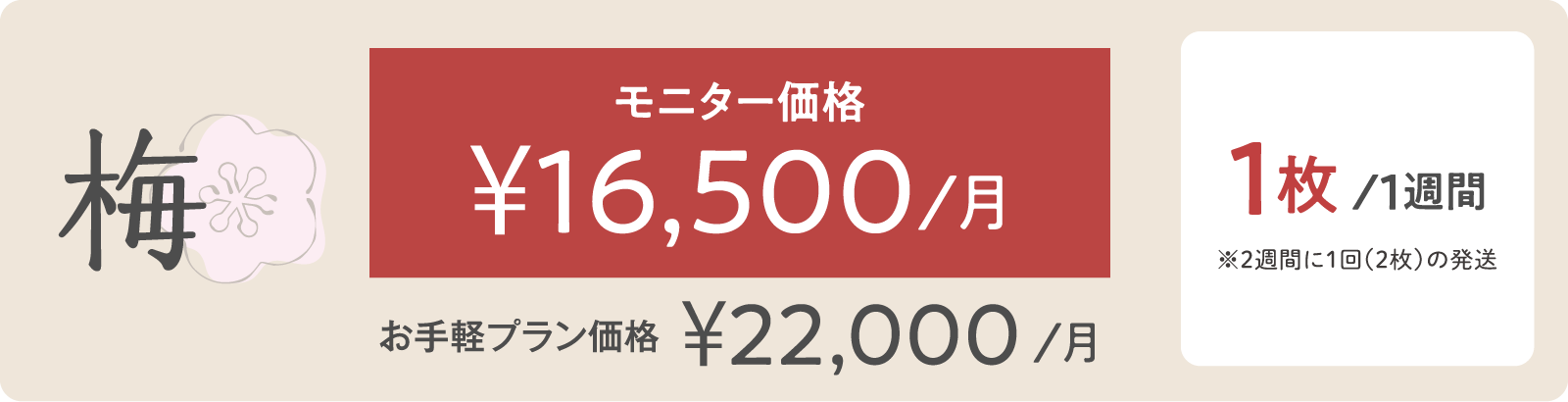 松モニター価格 ¥16,500/月 5枚/１週間